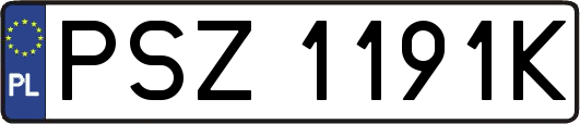 PSZ1191K
