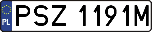 PSZ1191M