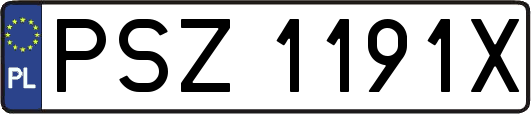 PSZ1191X