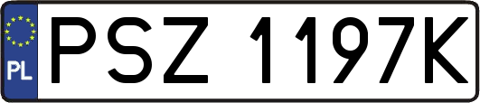 PSZ1197K