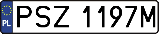 PSZ1197M