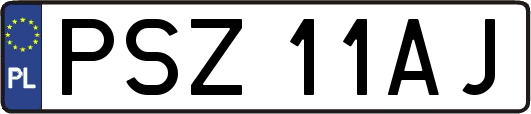 PSZ11AJ