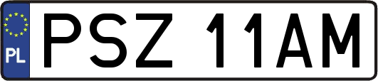 PSZ11AM