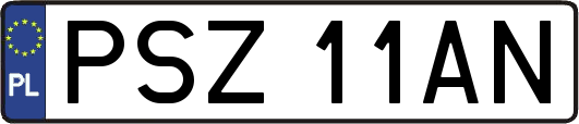 PSZ11AN