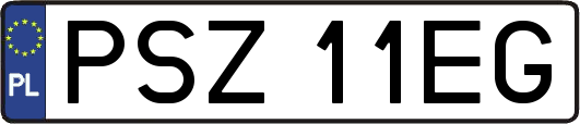 PSZ11EG