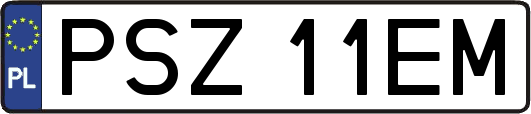 PSZ11EM