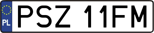 PSZ11FM