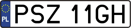 PSZ11GH