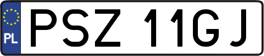 PSZ11GJ