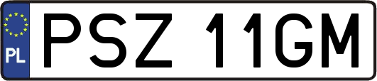 PSZ11GM