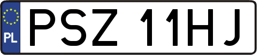 PSZ11HJ
