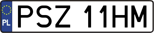 PSZ11HM