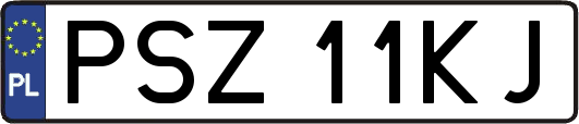 PSZ11KJ
