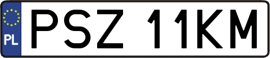 PSZ11KM