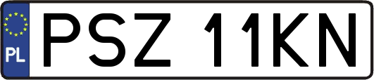 PSZ11KN