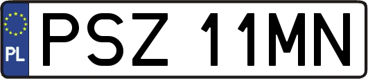 PSZ11MN