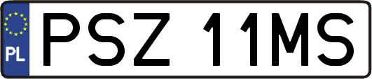 PSZ11MS