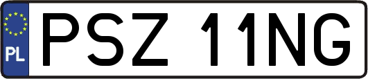 PSZ11NG