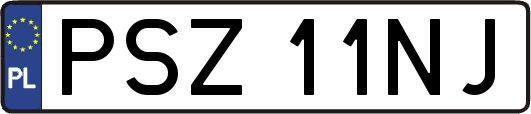 PSZ11NJ