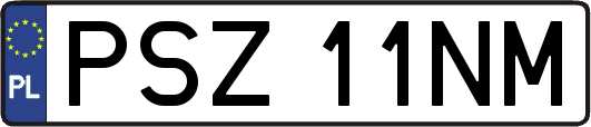 PSZ11NM