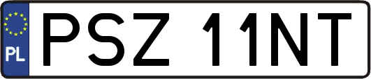 PSZ11NT