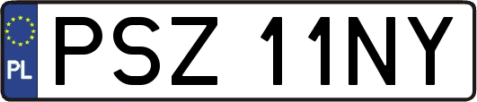 PSZ11NY