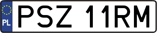 PSZ11RM