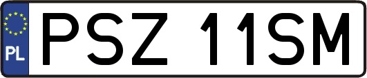 PSZ11SM