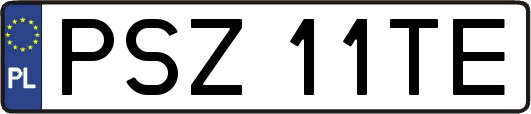 PSZ11TE