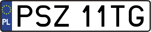 PSZ11TG