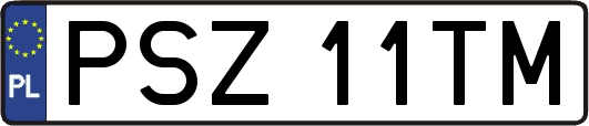 PSZ11TM