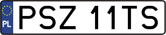 PSZ11TS