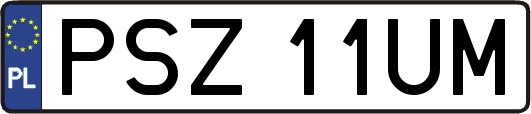 PSZ11UM