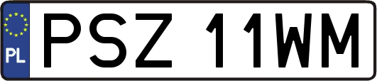 PSZ11WM