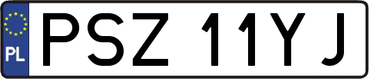 PSZ11YJ