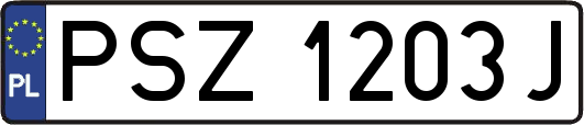 PSZ1203J