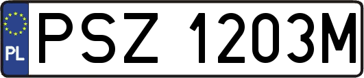 PSZ1203M