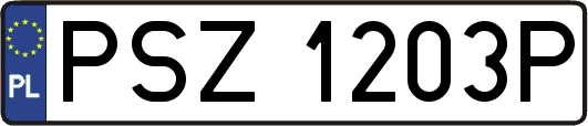 PSZ1203P