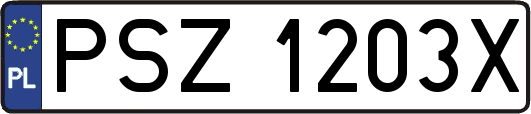 PSZ1203X