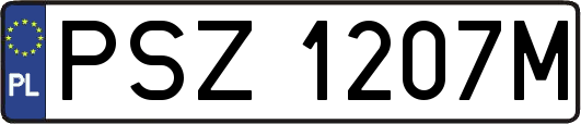 PSZ1207M
