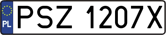 PSZ1207X