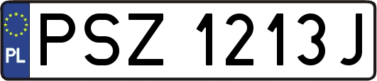 PSZ1213J