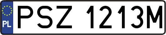 PSZ1213M