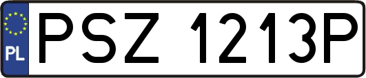 PSZ1213P