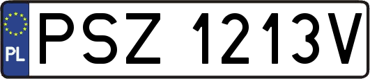 PSZ1213V
