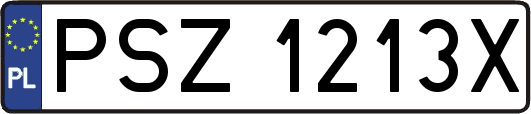 PSZ1213X
