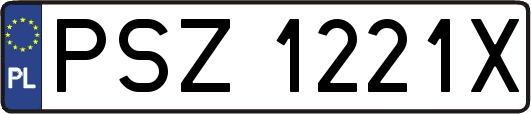 PSZ1221X