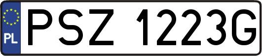 PSZ1223G