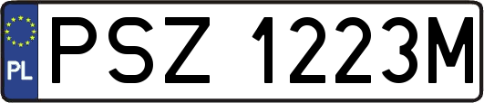 PSZ1223M