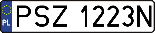PSZ1223N